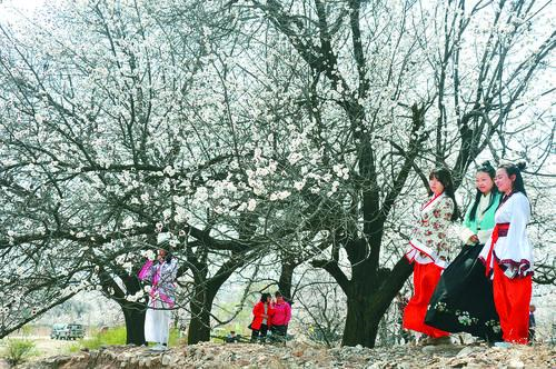 伟德国际唯一官网入口品牌形象图